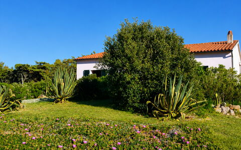 Villa Vignola: Fleur, Végétation, Arbuste, Jardin, Communauté Des Plantes, Couverture De Sol, Prairie, Aménagement Paysager, Plante Herbacée