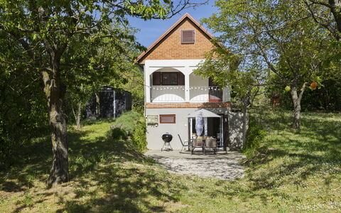 Öreghegy Kis Ház: Meubles, Arbuste, Jardin, Mobilier De Jardin, Ombre, Tableau De Plein Air, Chaise, Patio, Arrière-Cour, Cour