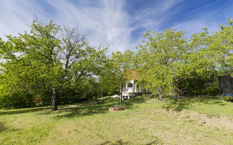 Öreghegy Kis Ház: Meubles, Arbuste, Jardin, Mobilier De Jardin, Ombre, Tableau De Plein Air, Chaise, Patio, Arrière-Cour, Cour