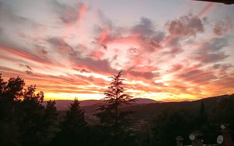 House in the Woods, Pool and Relax in Umbria: Ciel, Afterglow, La Nature, Nuage, Le Coucher Du Soleil, Branche, Crépuscule, Horizon, Orange, Lever Du Soleil