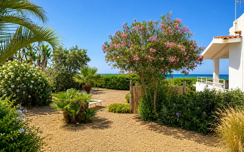 Punta Braccetto Fronte Mare: Fleur, Vert, Arbuste, Jardin, Communauté Des Plantes, Couverture De Sol, Aménagement Paysager, Passerelle, Jardin Botanique