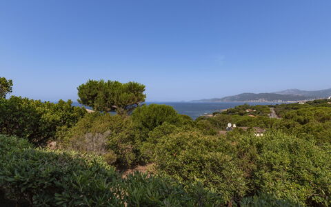 U Sognu: Ciel, Bleu, Feuille, Vert, Végétation, Horizon, Arbuste, Communauté Des Plantes, Écorégion, Formations Arbustives