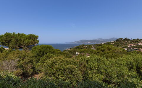U Sognu: Ciel, Bleu, Vert, Feuille, Végétation, Horizon, Paysage Naturel, Arbuste, Communauté Des Plantes, Écorégion