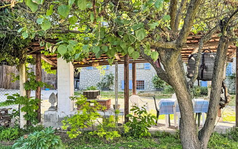 Cadivino: Feuille, Ombre, Jardin, Printemps, Suppression Des Plantes Ligneuses, Lumière Du Soleil, Arrière-Cour, Pergola, Cour, Structure En Plein Air