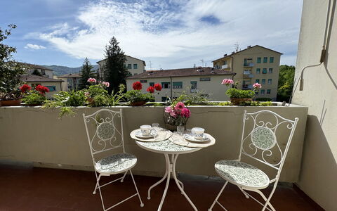 Alle Gardenie: Meubles, Table, Chaise, Tableau De Plein Air, Mobilier De Jardin, Table Basse, Pot De Fleur, Plante D'Appartement, Balcon, Table Cuisine Et Salle A Manger