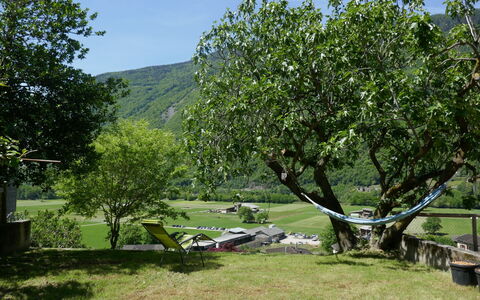 Casa Malva: Branche, Jardin, Suppression Des Plantes Ligneuses, Pelouse, Loisir, Ombre, Cour, Parc, Arrière-Cour