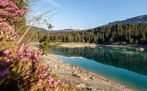 Primavera B31: L'Eau, Plan D'Eau, Ressources En Eau, La Nature, Montagne, Banque, Montagnes, Lac, Tarn, Région Sauvage