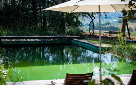 Il Poggio: L'Eau, Plante, Paysage Naturel, Ombre, Arbre, Mobilier De Jardin, Loisir, Herbe, Chaise, Parapluie