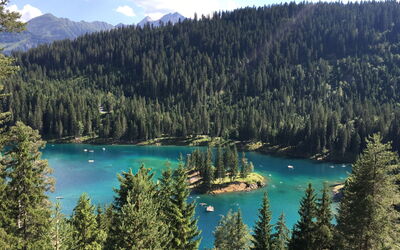 Laax 76