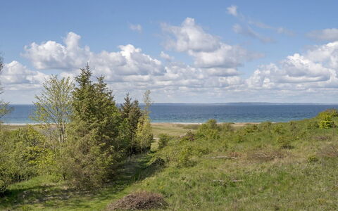 Adelinde - 300M from the Sea: Ciel, Bleu, Environnement Naturel, Végétation, Horizon, Écorégion, Été, Nuage, Mer, Cotiers Et Relief Océaniques