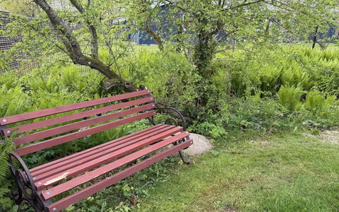 Ulv - from the Sea: Extérieur Banc, Meubles, Mobilier De Jardin, Banc, Vert, Bois, Couverture De Sol, Jardin