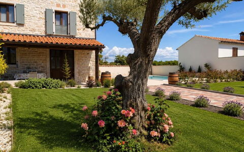 Dariocchi: Herbe, Maison, Zone Rurale, Chalet, Toit, Domicile, Paysage, Plaine, Lot Terre