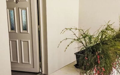 Logement:&nbsp;Frlea 2.1