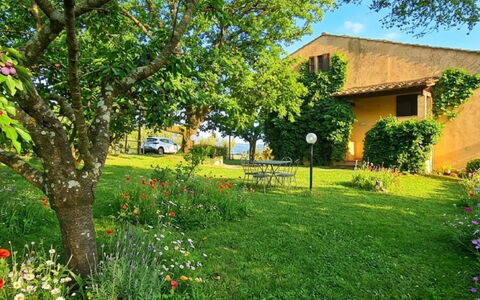 Edera: Herbe, Maison, Zone Rurale, Chalet, Toit, Domicile, Paysage, Plaine, Lot Terre