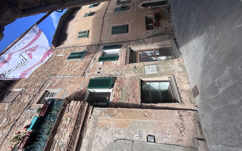 Monolocale Campiglia: Herbe, Maison, Zone Rurale, Chalet, Toit, Domicile, Paysage, Plaine, Lot Terre