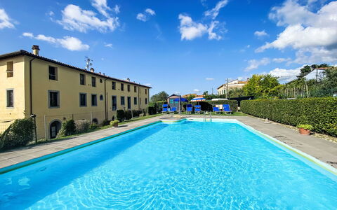 Elvis: Herbe, Maison, Zone Rurale, Chalet, Toit, Domicile, Paysage, Plaine, Lot Terre