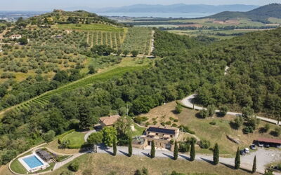 Il Cipresso - L'Olmo - L'Ulivo