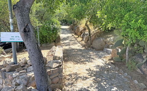 Porto Luna 1: Herbe, Maison, Zone Rurale, Chalet, Toit, Domicile, Paysage, Plaine, Lot Terre