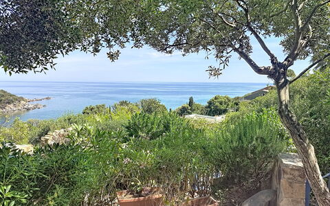 Porto Luna 1: Herbe, Maison, Zone Rurale, Chalet, Toit, Domicile, Paysage, Plaine, Lot Terre