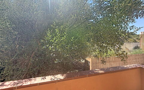 Coniglio Beach: Herbe, Maison, Zone Rurale, Chalet, Toit, Domicile, Paysage, Plaine, Lot Terre