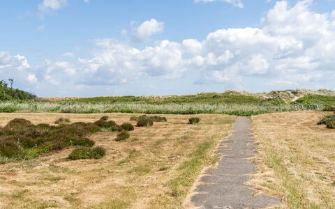 Enwald - 100M from the Sea: Ciel, Herbe, Environnement Naturel, Vert, Prairie, Nuage, Végétation, Écorégion, Paysage Naturel, Plaine