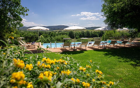 Villa Santa Barbara, Pool and Relax, Siena Country: Recours, Mobilier De Jardin, Jardin, Piscine, Eco Hôtel, Ombre, Aménagement Paysager, Balancelle, Biens, Plantation