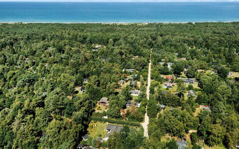 Ami - 850M from the Sea: Vue Du Ciel, Paysage, Photographie Aérienne, Design Urbain, Côte, Océan, Baie, Banlieue, Plantation