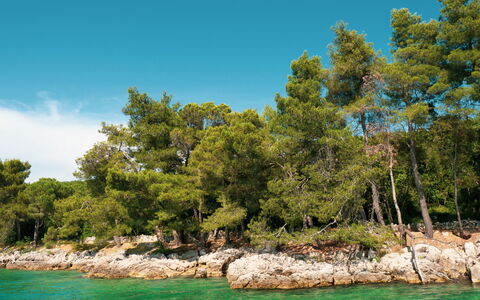Krk Malinska 204: Piscine, Ville Resort, Eco Hôtel, Recours, Villa