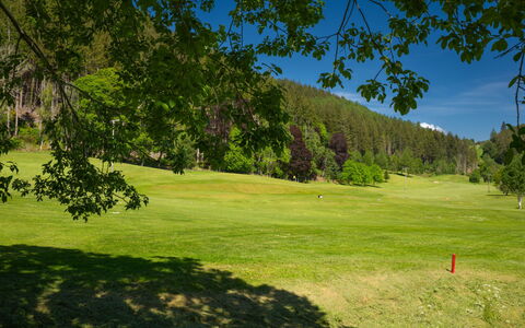 Coach House on Aigas Golf Course: Herbe, Arbre, Environnement Naturel, Prairie, Plaine, Lot Terre, Prairie, Pâturage, Pelouse