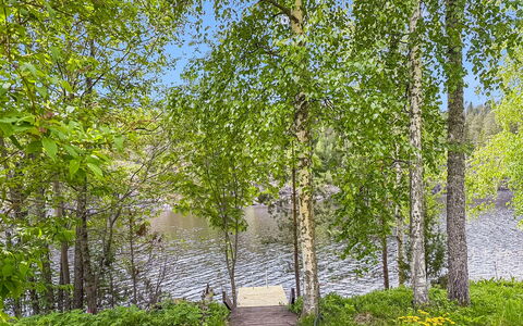 Villa Kaidanjylhä: Vert, Feuille, La Nature, Arbre, Environnement Naturel, Branche, Végétation, Paysage Naturel, Été