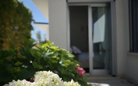 Villa Mulberry Garden - Esclusiva con Piscina Priv: Fleur, Pétale, Plante À Fleurs, Jardin, Aménagement Paysager, Daylighting, Hydrangeaceae, Hortensia, Balcon