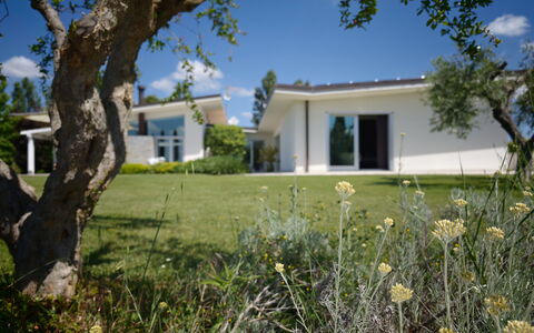 Villa Mulberry Garden - Esclusiva con Piscina Priv: Domicile, Arbuste, Zone Résidentielle, Lot Terre, Pelouse, Biens, Jardin, Chalet, Ombre, Aménagement Paysager