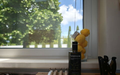 Villa Mulberry Garden - Esclusiva con Piscina Priv: Verre, Bouteille, Bouteille En Verre, Comptoir, Plante D'Appartement, Cuisine