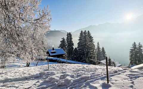 Chalet le Cornuit: Neige, L'Hiver, Arbre, Montagnes Relief, La Nature, Branche, Montagne, Chaîne De Montagnes, Paysage, Station De Montagne