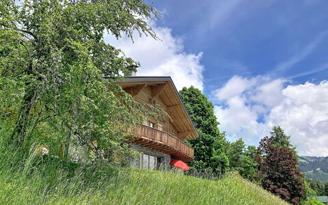 Chalet le Cornuit: Arbre, Herbe, Maison, Arbuste, Paysage, Zone Rurale, Chalet, Prairie, Lot Terre