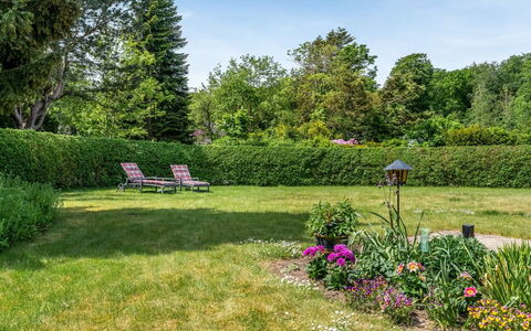 Maris - 200M from the Sea: Vert, Arbre, Jardin, Arbuste, Paysage, Prairie, Communauté Des Plantes, Pelouse, Lot Terre