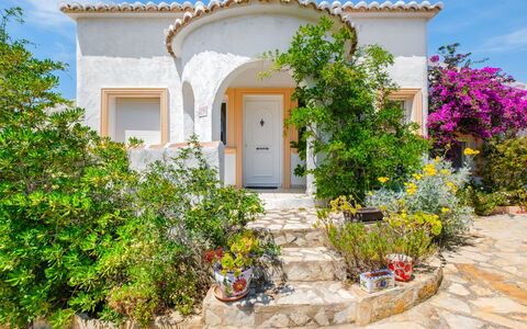 Bougainvillea: Arbuste, Jardin, Aménagement Paysager, Hacienda, Dalle, Plante D'Appartement, Pot De Fleur, Villa