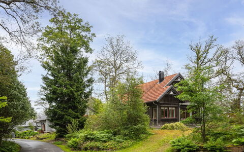 Lövekulle: Arbre, Vert, Branche, Maison, Domicile, Arbuste, Zone Résidentielle, Chalet, Toit