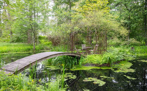 Lövekulle: Vert, Environnement Naturel, Paysage Naturel, Végétation, Arbuste, Communauté Des Plantes, Jardin, Banque, Cours D'Eau