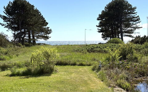 Stasia - 50M from the Sea: Vert, Herbe, Végétation, Arbuste, Prairie, Communauté Des Plantes, Lot Terre, Couverture De Sol