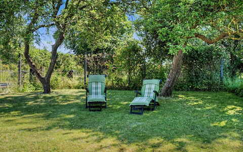 Aaro - 275M from the Sea: Vert, Herbe, Meubles, Arbuste, Jardin, Lot Terre, Pelouse, Ombre, Mobilier De Jardin