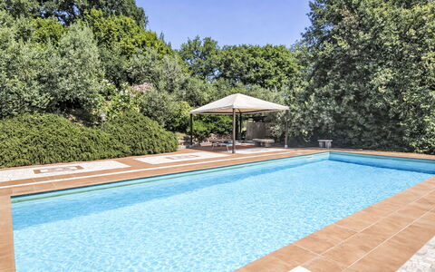 Le More: Meubles, Design Intérieur, Mur, Sol, Bois, Sol, Pièce, Plafond, Éclairage, Domicile