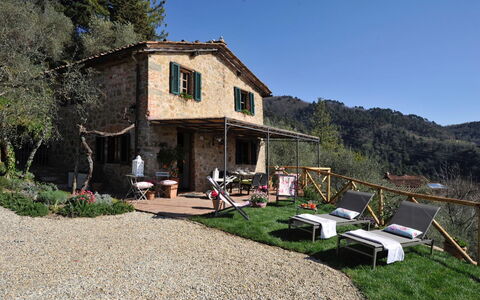 Oliveta: Maison, Domicile, Chalet, Zone Rurale, Ferme, Mobilier De Jardin, Village, Cour, Arrière-Cour, Chaise