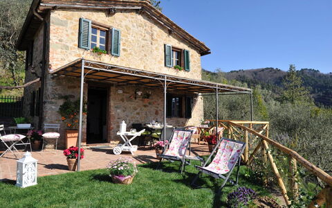 Oliveta: Chalet, Arrière-Cour, Chaise, Cour, Tableau De Plein Air, Mobilier De Jardin, Porche, Ferme, Plante D'Appartement, Vélo