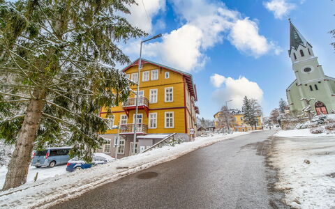 Janský Potok: Arbre, Maison, Neige, L'Hiver, Domicile, Gelé, Pente, Banlieue, Mélèze