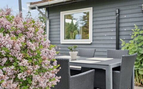 Arise - 1.5Km from the Sea: Arbuste, Jardin, Couverture De Sol, Ombre, Cour, Siding, Mobilier De Jardin, Aménagement Paysager, Arrière-Cour, Structure En Plein Air