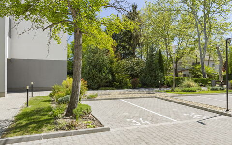 Gárdonyi Garden: Arbuste, Espace Public, Couverture De Sol, Trottoir, Jardin, Dalle, Suppression Des Plantes Ligneuses, Allée, Passerelle