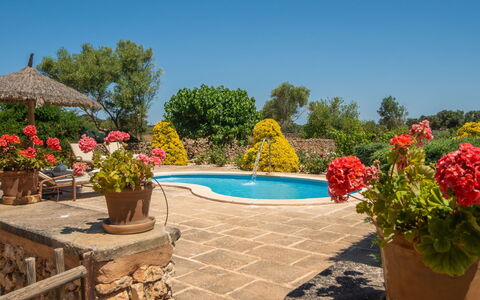 Casa Geranios: Jardin, Mobilier De Jardin, Pot De Fleur, Aménagement Paysager, Ombre, Dalle, Piscine, Eco Hôtel, Plante D'Appartement