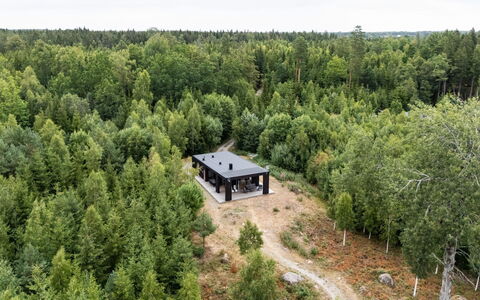 Paradiset 2: Arbre, Forêt, Communauté Des Plantes, Des Bois, Bosquet, Mélèze, Conifères Tropicale Et Subtropicale Forêts