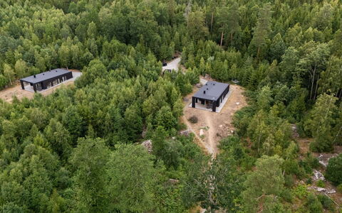 Paradiset 2: Arbre, Forêt, Paysage, Lot Terre, Plantation, Des Bois, Mélèze, Jungle